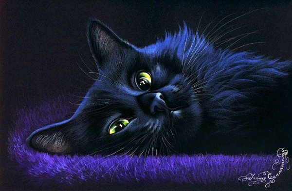 художница irina garmashovacawton