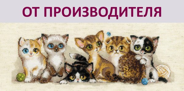 риолис котёнок
