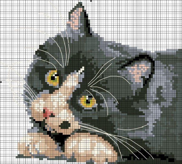вышивка кот