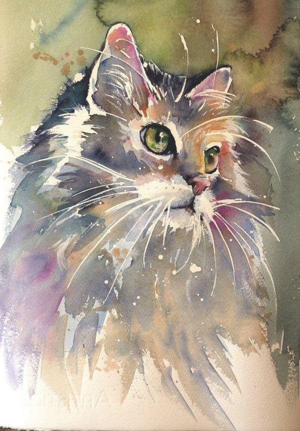 рисунки котов акварелью