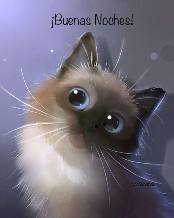 рихард донскис