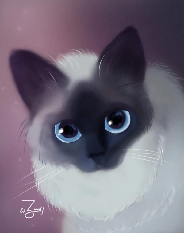 рихард донскис