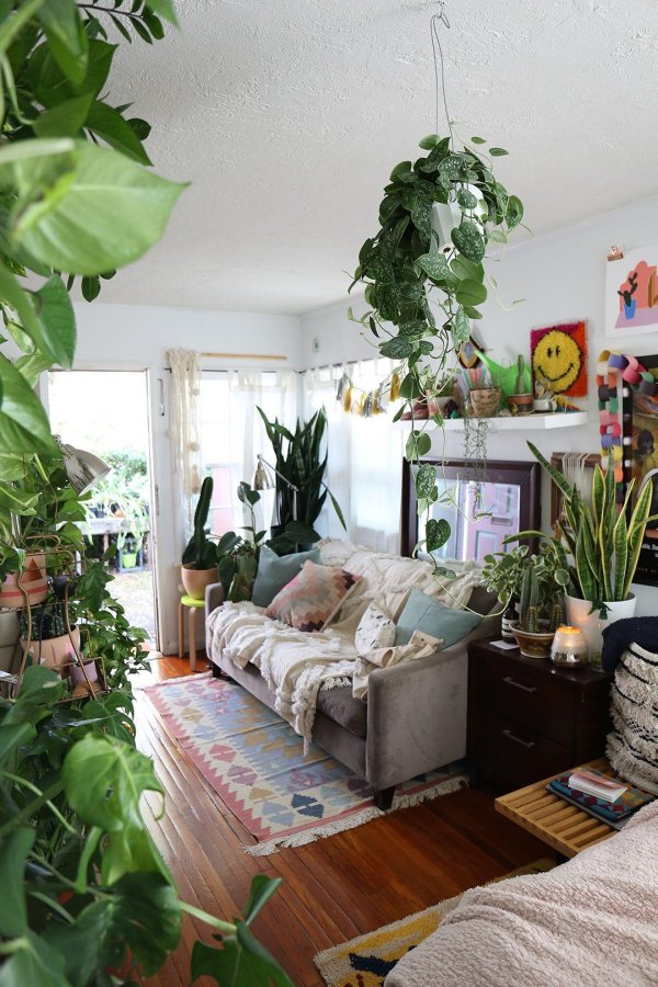 цветы в квартире