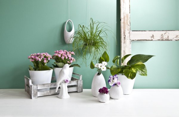 кашпо в интерьере