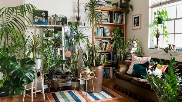 Интерьера с цветами