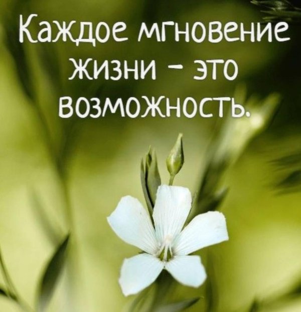 цените каждый миг