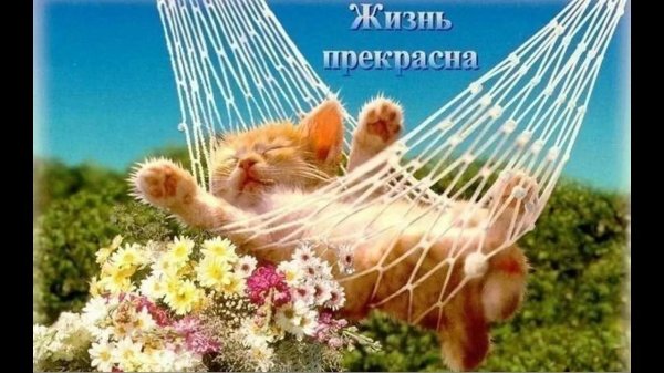 отличного отпуска