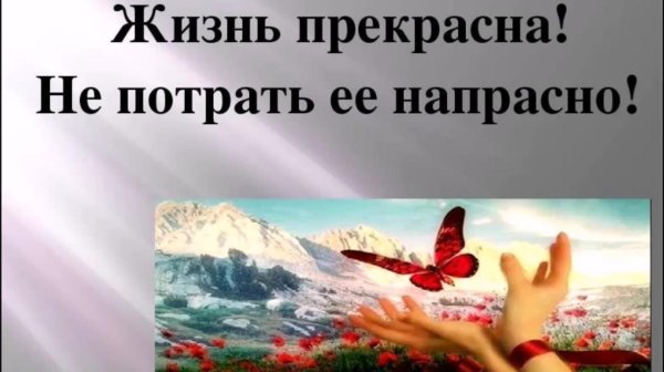 жить прекрасно