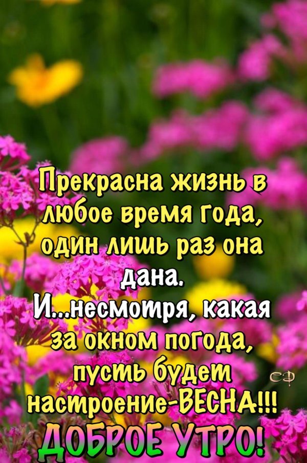 доброе утро цитаты красивые