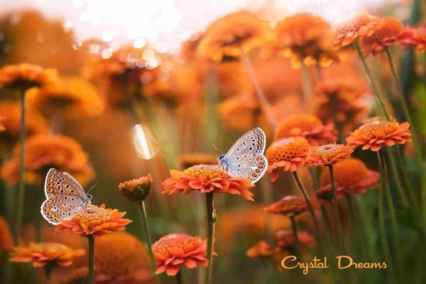 красота природа