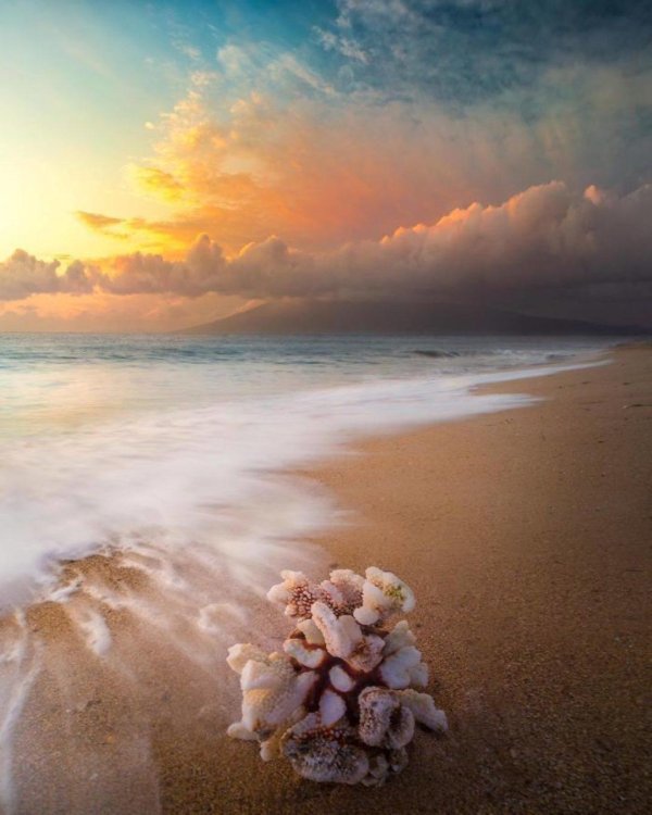 морские пейзажи