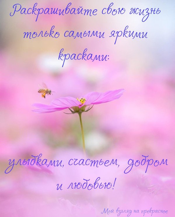 короткие поздравления