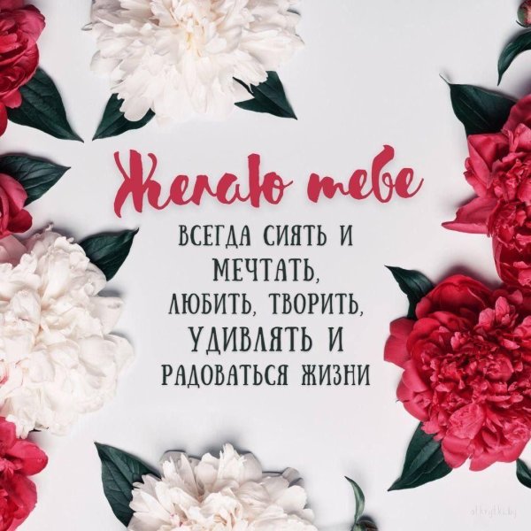 цветок пион