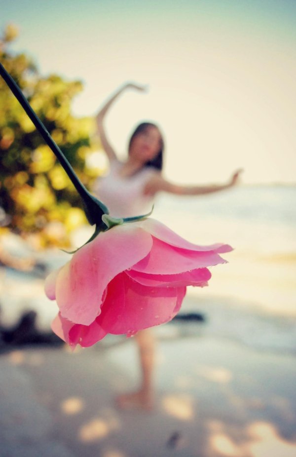 красивая фотография