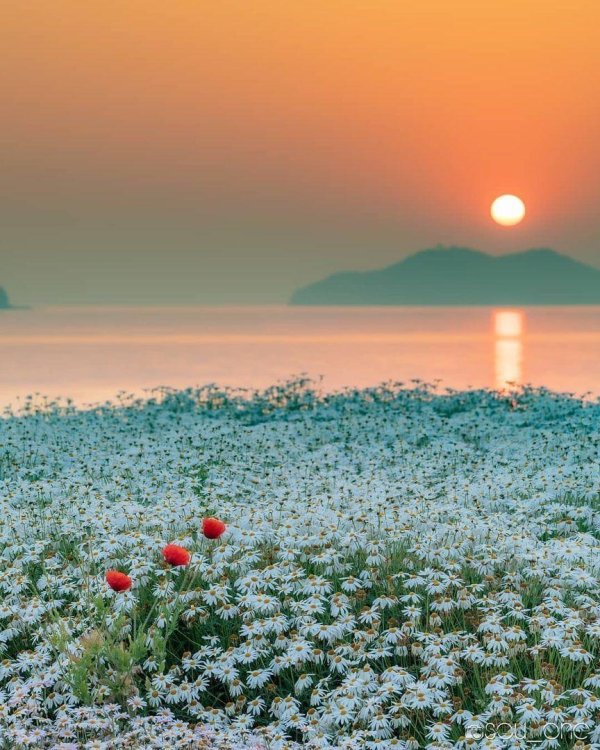 летнего утра