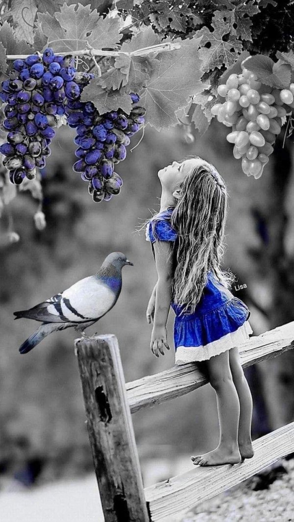 фотосессии идеи