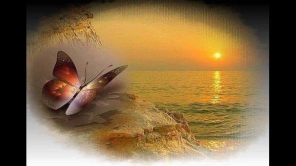 нежность души