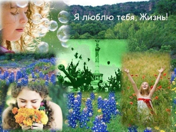 люблю тебя жизнь