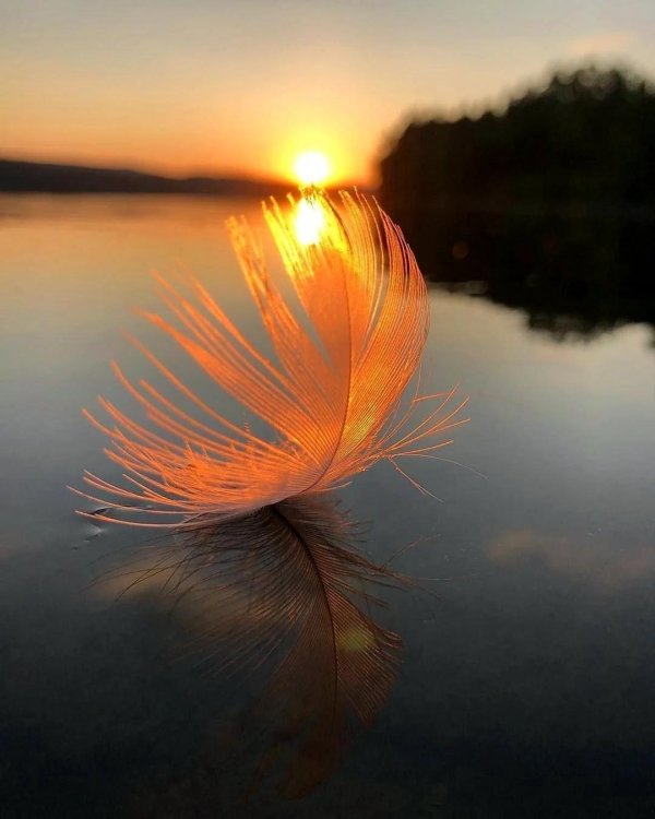 рассвет души