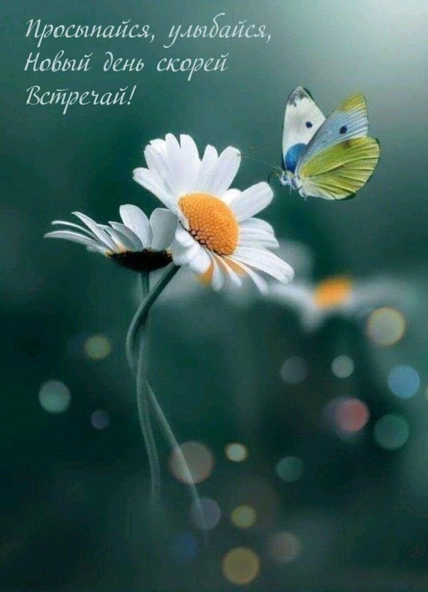 добра утра