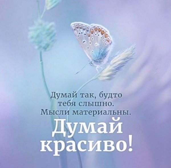 нежные бабочки