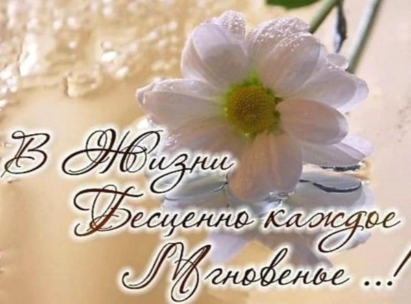 пожелания красивые