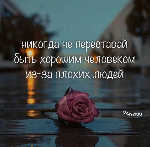 красивая цитата