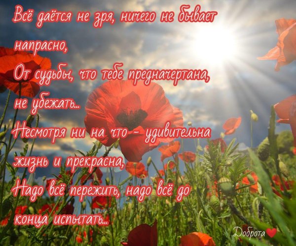 летние пожелания