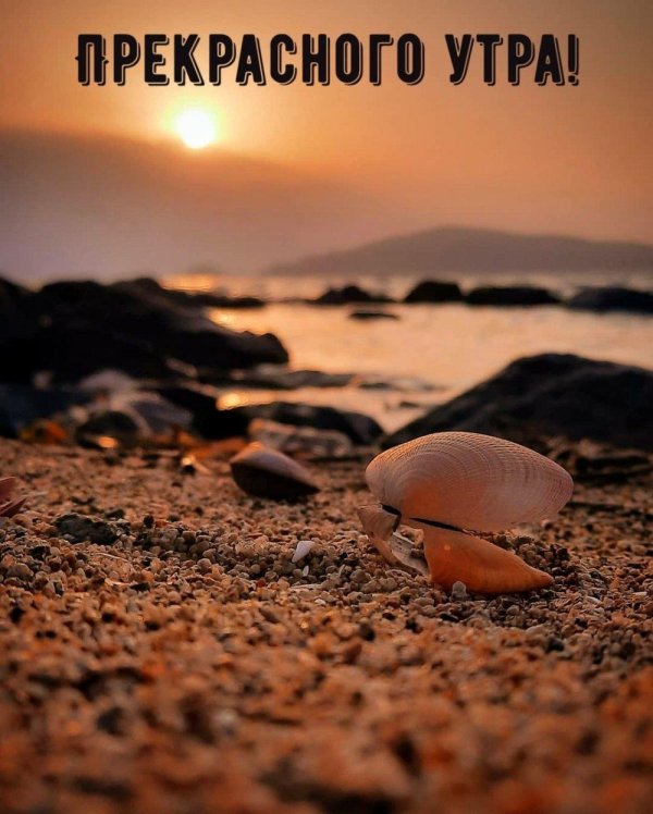 доброго утра рассвет