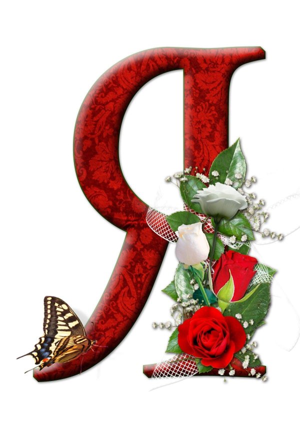 алфавит с розами