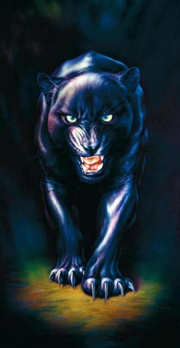 оскал пантеры