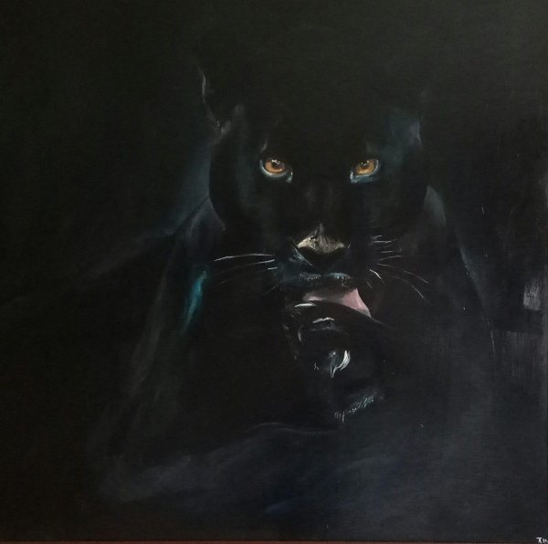 пантера ночью