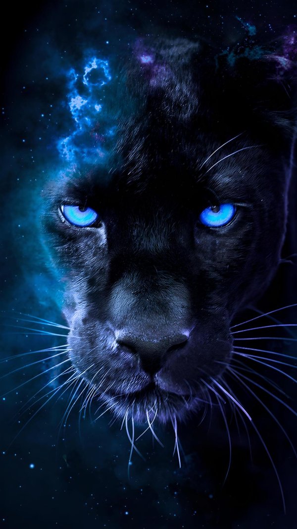 морда пантеры