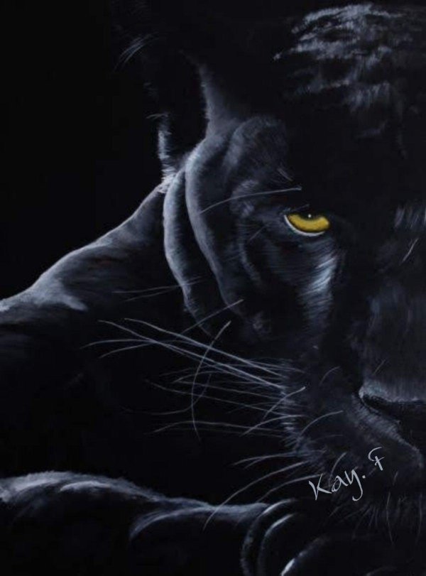 картина пантера