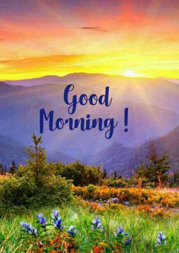 Солнечное утро