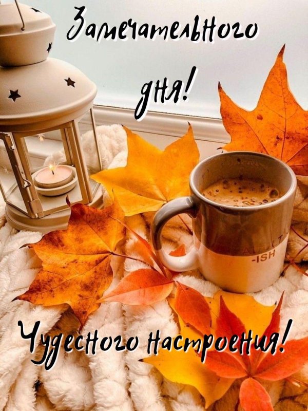 доброго утра осеннего