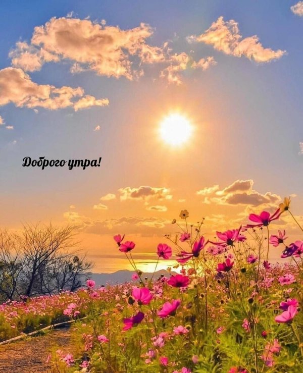 красивые рассветы