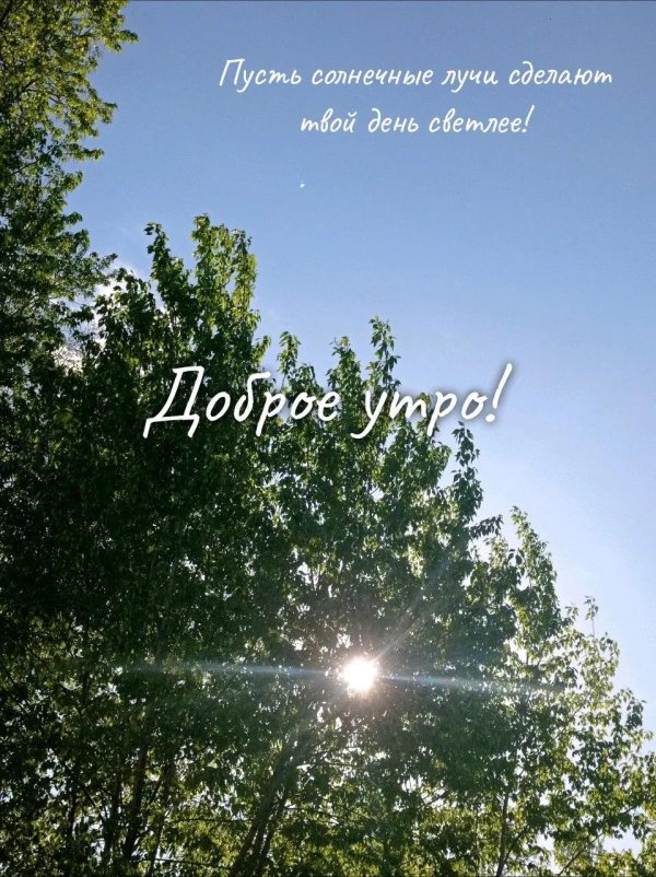 добра утра