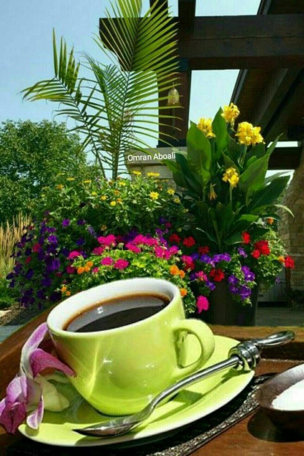 кофе цветок