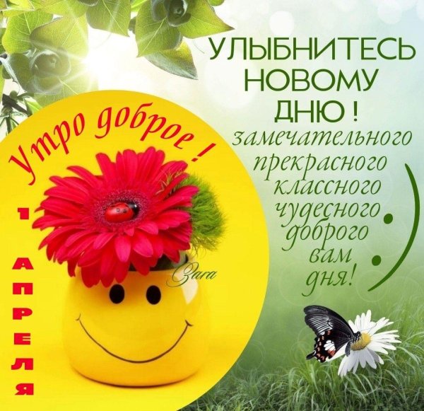 улыбнись новому дню