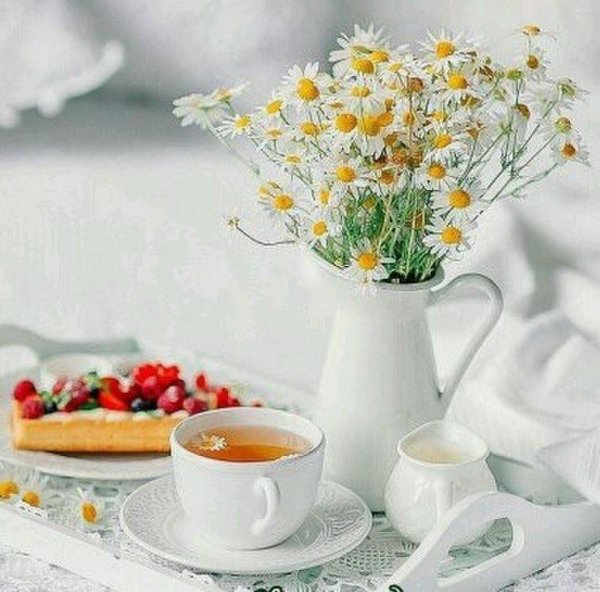 утренние цветы