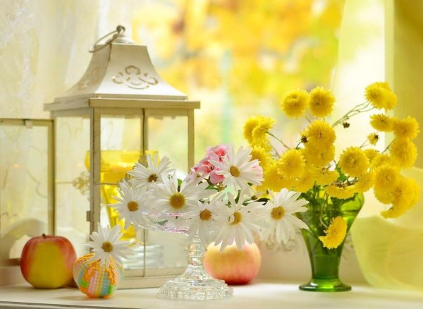 осенние натюрморты