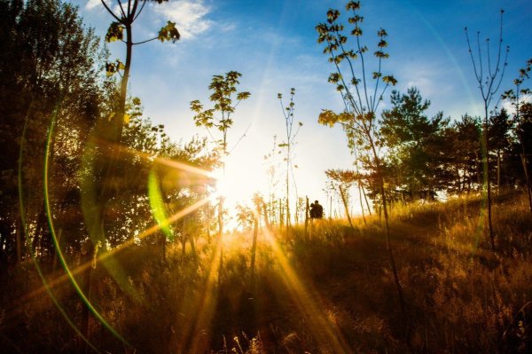 лучами солнца