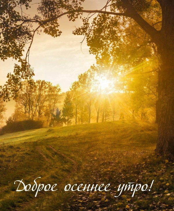 доброго утра осени