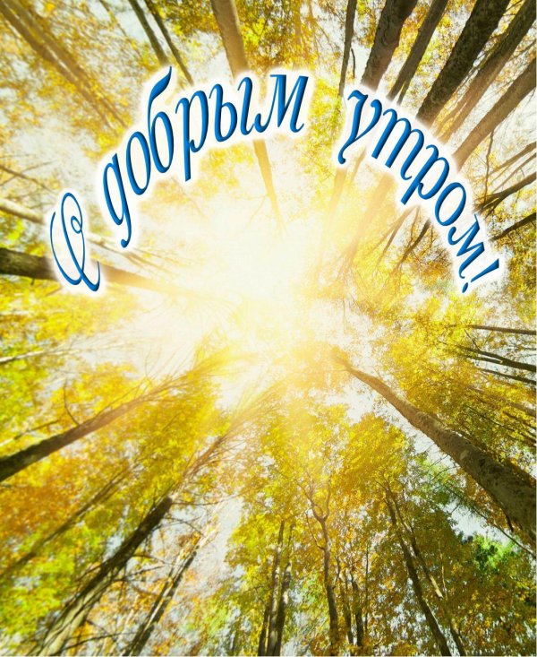 доброе утро хорошего дня природа