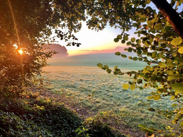 солнечные пейзажи