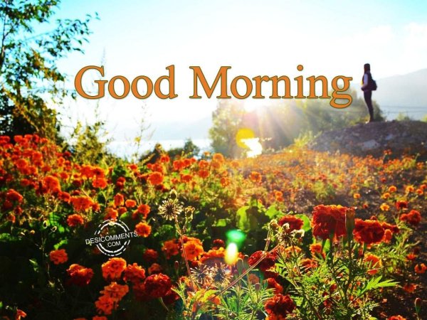 good morning картинки