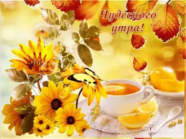 с добрым солнечным осенним утром