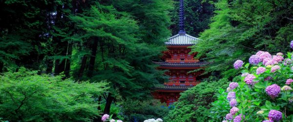 японская природа