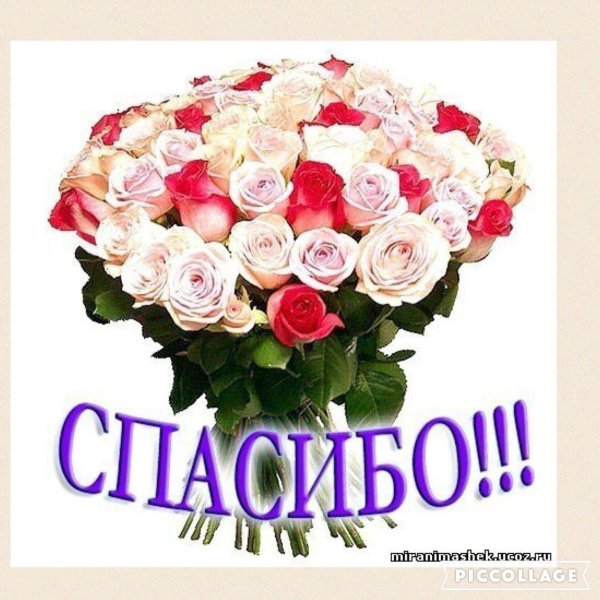 красивая букет